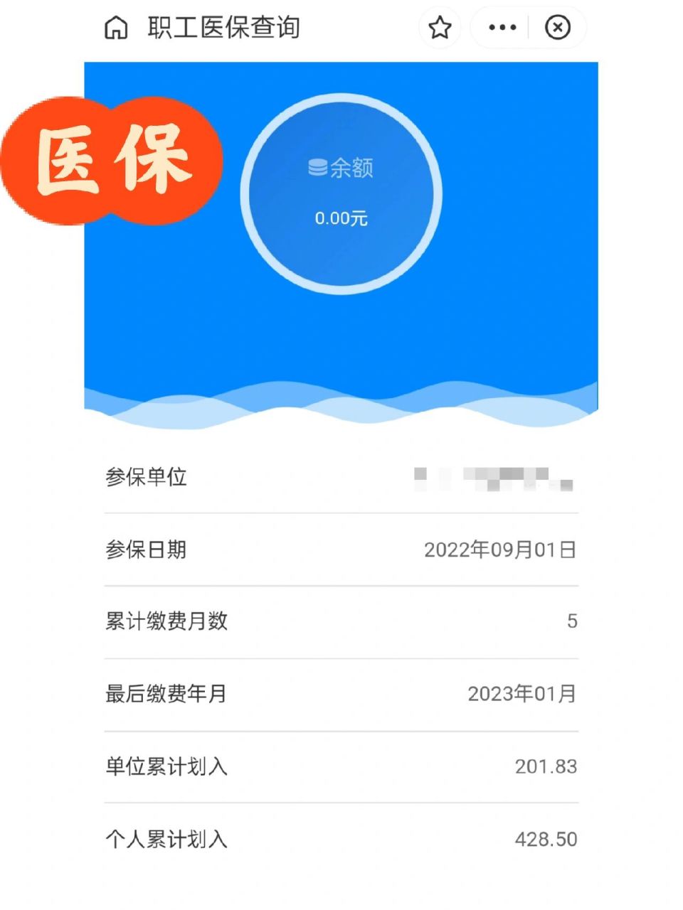 怒江最新为什么缴纳了医保查不到余额方法分析(最方便真实的怒江为什么交了医保后查询不到医保缴费信息方法)