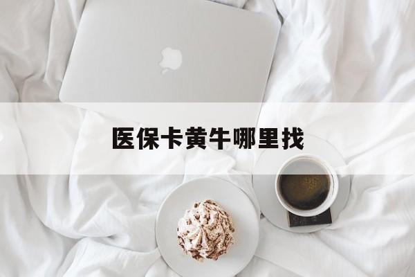 怒江最新医保卡黄牛哪里找方法分析(最方便真实的怒江医保卡的事情去哪里咨询方法)